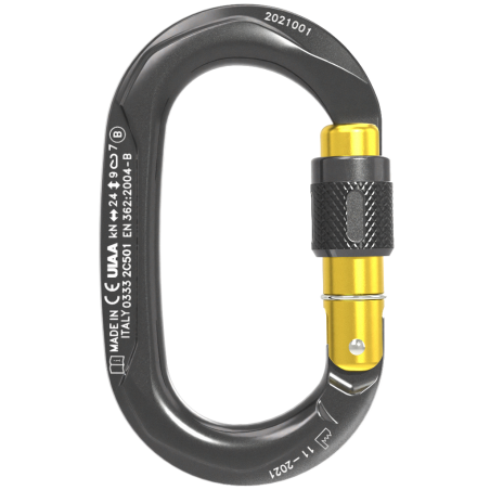 Buy Climbing Technology - OVX SG, oval carabiner up MountainGear360