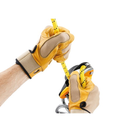 Petzl - Rig, discensore professionale