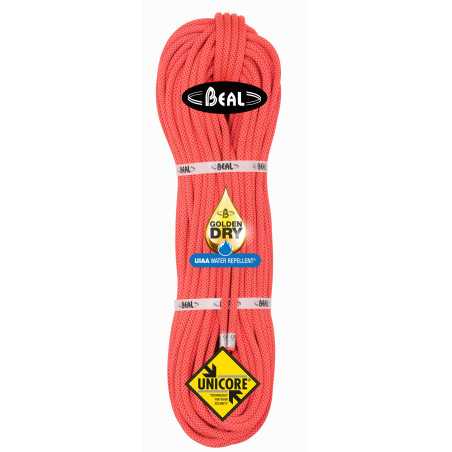 Beal - Joker 9.1 mm, Golden Dry