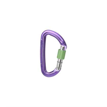 Acheter Wild Country - Session Screw Gate debout MountainGear360
