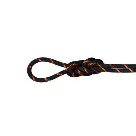 Mammut - 8,7 Alpine Sender Dry, triple certified rope