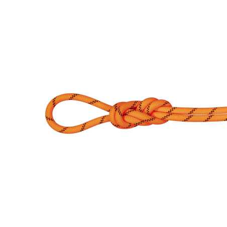 Buy Mammut - 8,7 Alpine Sender Dry, triple certified rope up MountainGear360