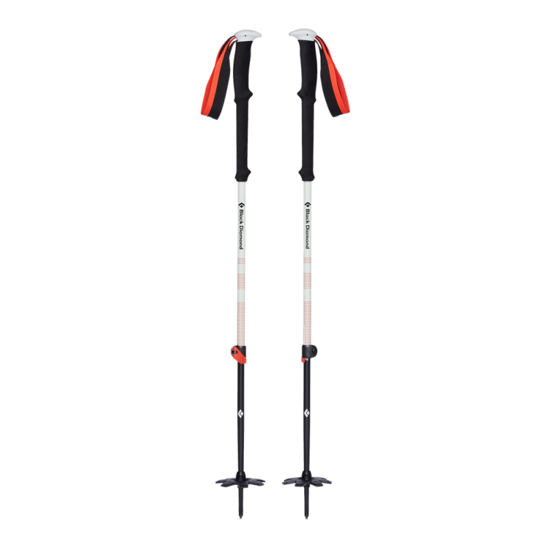 Acheter Black Diamond - Expédition 2 Ski, bâtons debout MountainGear360