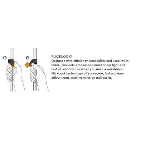 Black Diamond - Traverse Ski, poles