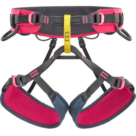 Buy Climbing Technology - Anthea Ciclamino / Antracite, woman harness up MountainGear360