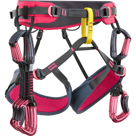 Climbing Technology - Anthea Ciclamino / Antracite, woman harness