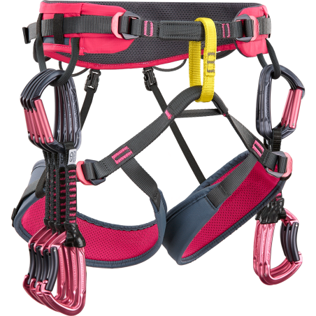Buy Climbing Technology - Anthea Ciclamino / Antracite, woman harness up MountainGear360