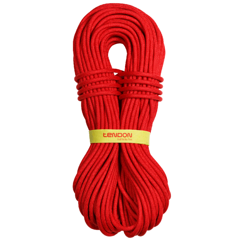 Tendon - Master PRO 9.2 full rope