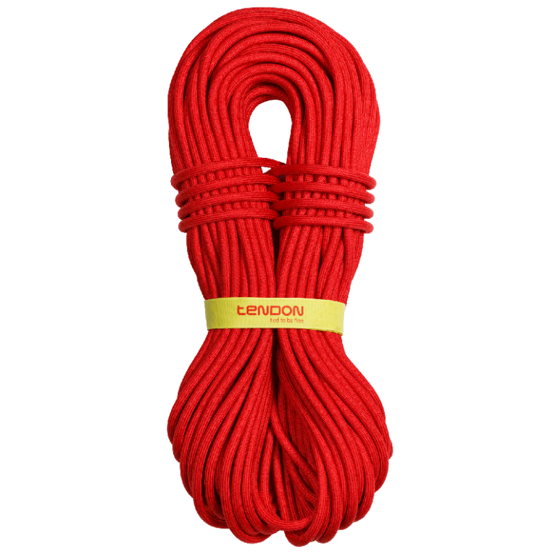 Buy Tendon - Master PRO 9.2 full rope up MountainGear360